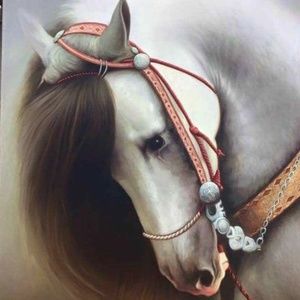 Meet your Posher, Luis yesenia